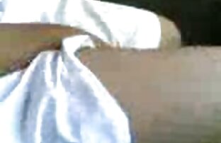 XXX Họp Hội đồng av jav sex quản trị